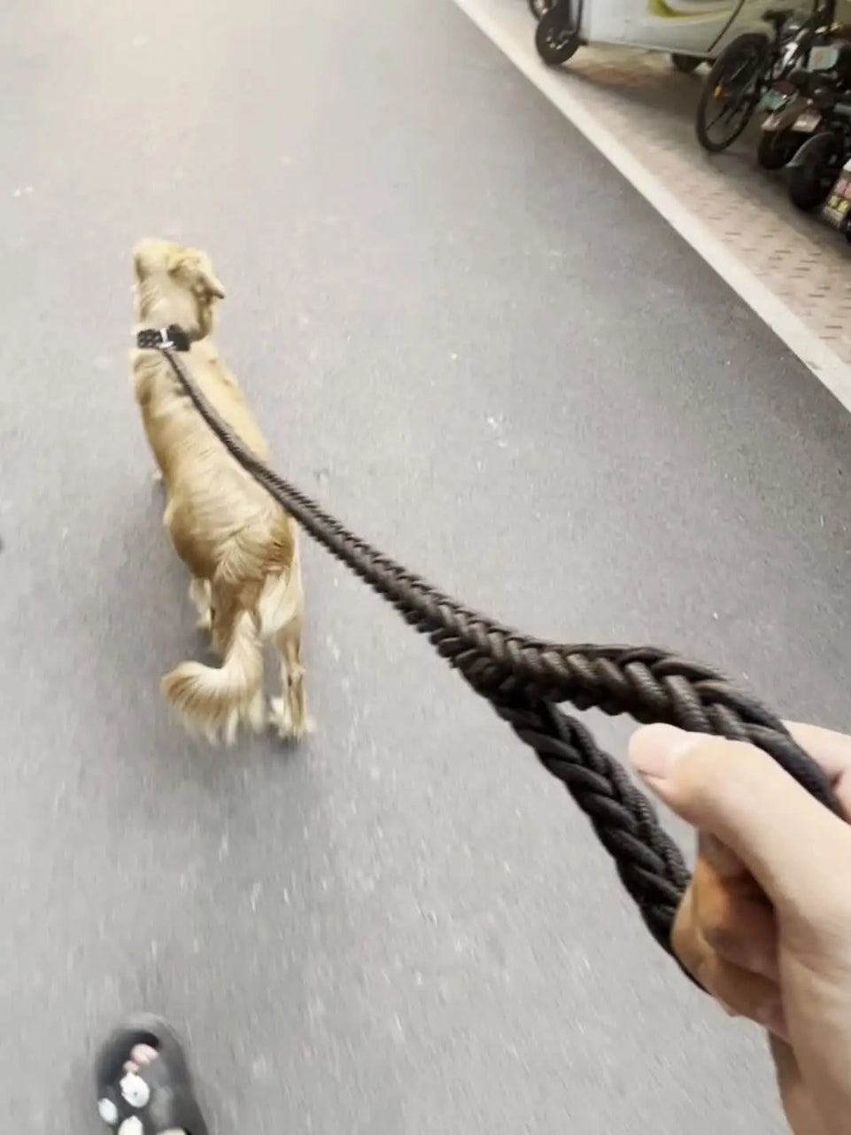Dog leash for effective training and comfortable walking, strong and durable braid, suitable for large dogs, dog training leash