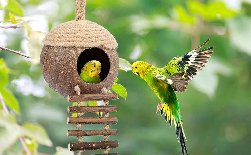 Coconut Birdhouse Hut With Ladder Hemp Rope Roof Natural Material Firm Stable Small Animal Cage Habitat Decoration Pet Supplies