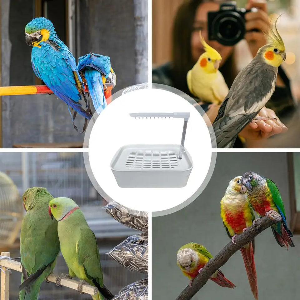 Automatic Pet Bird Bathing Pet Parrot Circulating Water Bathtub USB Electric Large Bird Bathtub Shower Fountain For Parakeet