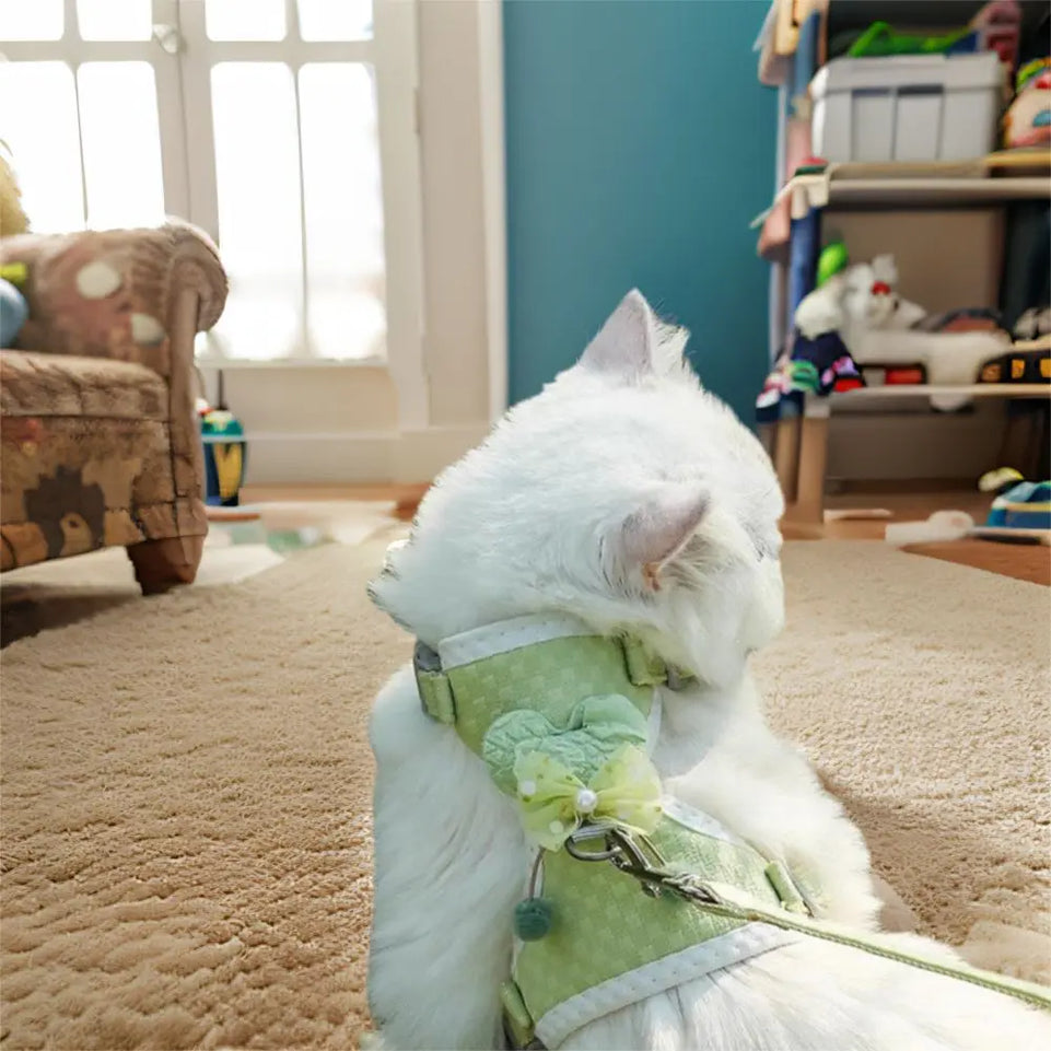 Breathable Pet Vest Harness Escape Proof Adjustable Dog Harness Vest Lightweight Anti breakaway Pet Leash Set Daily Use