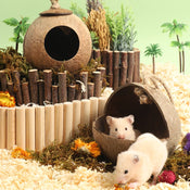 Pets Toys