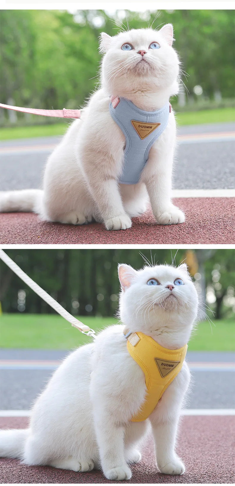 Escape Proof Cat Harness with Leash Adjustable Soft Vest Pet Walking Set for Outdoor Kitty Safety No Pull Comfort Design