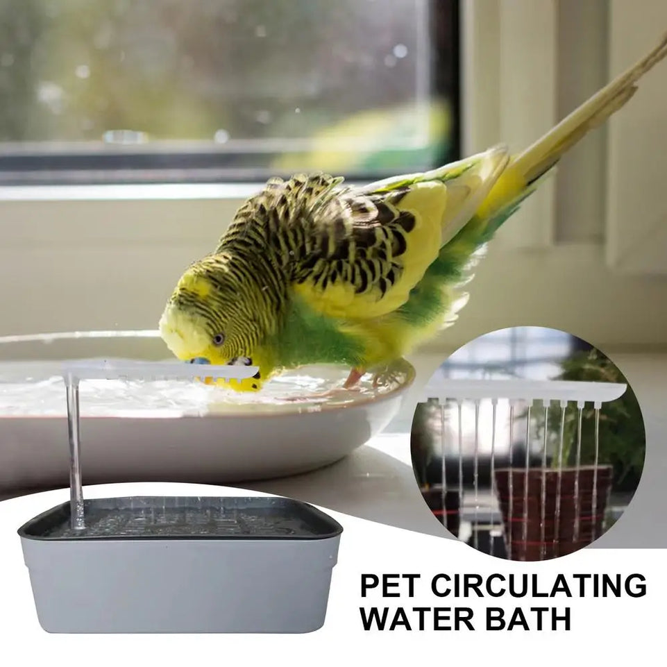 Automatic Pet Bird Bathing Pet Parrot Circulating Water Bathtub USB Electric Large Bird Bathtub Shower Fountain For Parakeet