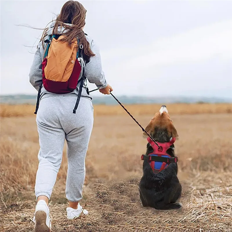 AFOURT-Dog Vest Harnesses No Pull Pet Working Vest Adjustable Pet Chest Vest Reflective Dog Service Vest Breathable For Medium