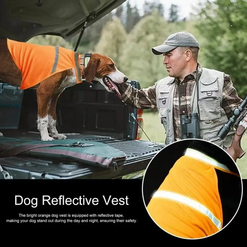 Reflective Dog Safety Vest Breathable Adjustable Puppy Visibility Jacket Comfortable Bright Orange Pet Fluorescent Clothes