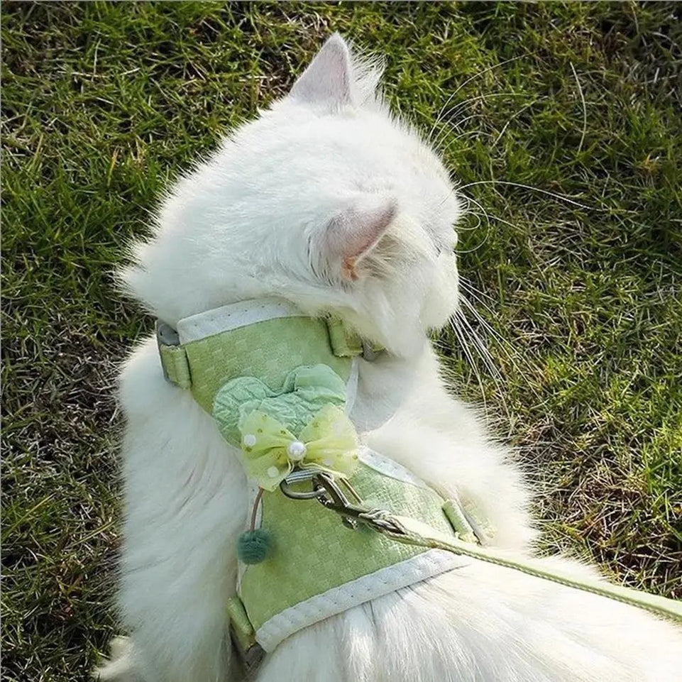 Breathable Pet Vest Harness Escape Proof Adjustable Dog Harness Vest Lightweight Anti breakaway Pet Leash Set Daily Use