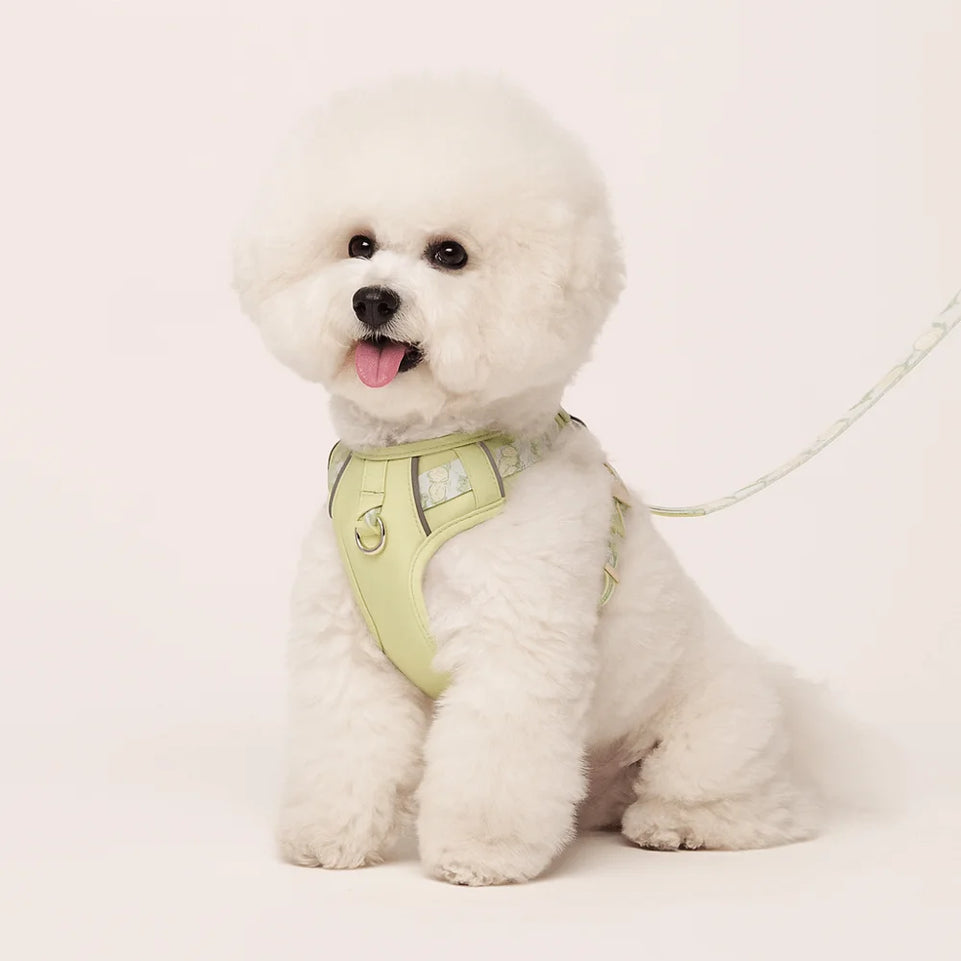 Safety Design Adjustable Dog Leash Vest Type Explosion Proof Pet Harness Chest Back Large Medium Small Dog Vest Corgi