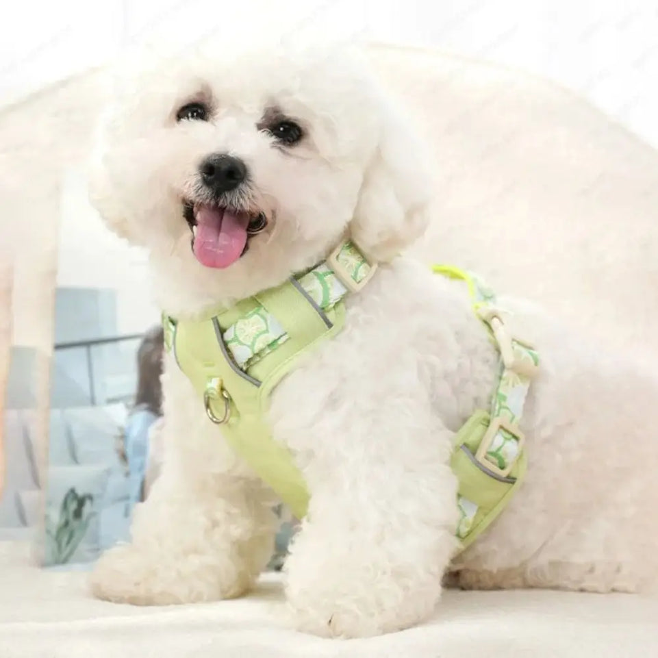 Safety Design Adjustable Dog Leash Vest Type Explosion Proof Pet Harness Chest Back Large Medium Small Dog Vest Corgi